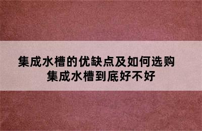 集成水槽的优缺点及如何选购   集成水槽到底好不好